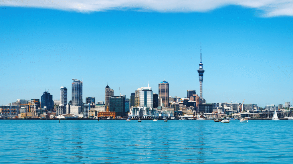 Why New Zealand Should Be Your Next Destination?